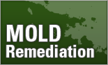 Mold Damage Info